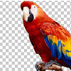 How to Make a Background of the Image Transparent